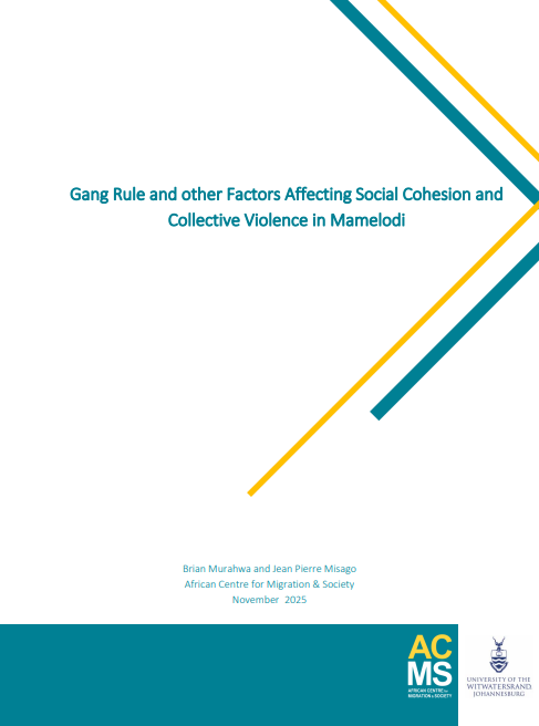Gang Rule and other Factors Affecting Social Cohesion and Collective Violence in Mamelodi